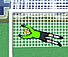 Penalty Fever